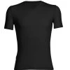 Icebreaker Men's Anatomica Short Sleeve V