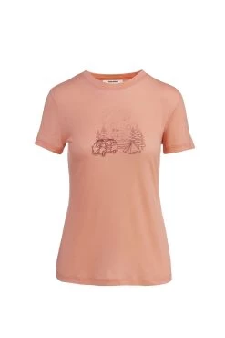 Icebreaker Women's 150 Tech Lite III Short Sleeve Van Camp