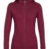 Icebreaker Women's Quantum III LS Zip Hood