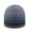 Mn Pistil Chase Beanie