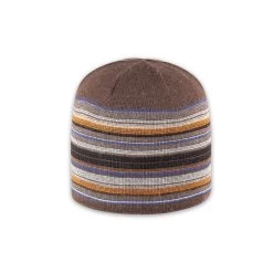 Mn Pistil Flint Beanie